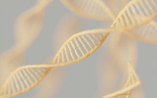 PDRN Line - Genabelle