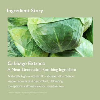 Cabbage 74 Calming Cream 50ml - K-Dermatology Skincare by Genabelle