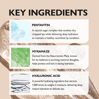 PDRN Glazed Lip Treatment - K-Dermatology Skincare by Genabelle