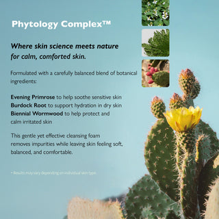 Phytology 17 Perfect Cleansing Foam 150ml - K-Dermatology Skincare by Genabelle