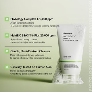 Phytology 17 Perfect Cleansing Foam 150ml - K-Dermatology Skincare by Genabelle